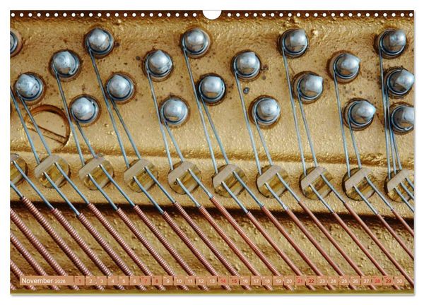 Produktbild: Aus Liebe zur Musik (Wandkalender 2026 DIN A3 quer), CALVENDO Monatskalender
