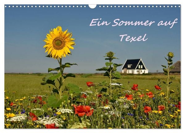 Produktbild: Ein Sommer auf Texel (Wandkalender 2026 DIN A3 quer), CALVENDO Monatskalender
