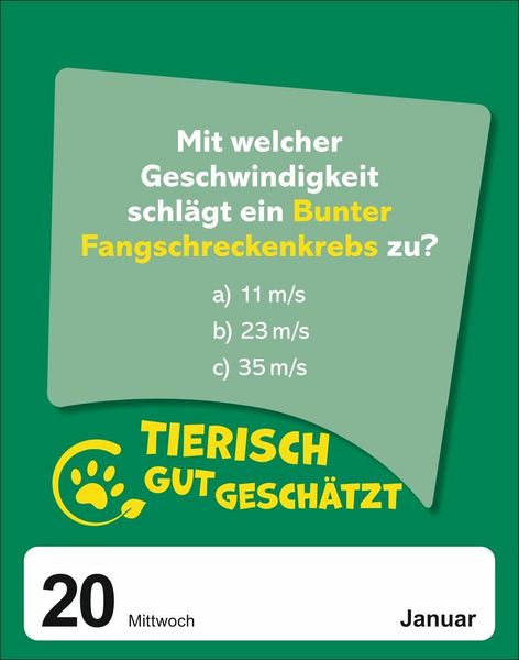 Produktbild: Was sch&auml;tzt du denn? Tagesabrei&szlig;kalender 2027 - Knifflige Sch&auml;tzfragen f&uuml;r die ganze Familie!