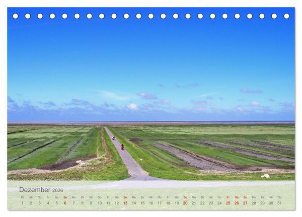 Produktbild: Salzwiesen, Schafe und Watt - Westerhever, ein Naturparadies an der Nordsee (Tischkalender 2026 DIN A5 quer), CALVENDO Monatskalender