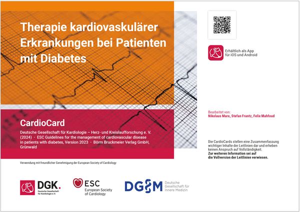 Produktbild: Therapie kardiovaskul&auml;rer Erkrankungen bei Patienten mit Diabetes