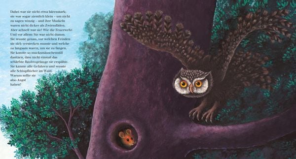 Produktbild: Mausemärchen – Riesengeschichte
