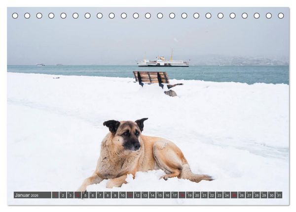 Produktbild: Istanbul - Faszinierend und Verwirrend (Tischkalender 2026 DIN A5 quer), CALVENDO Monatskalender