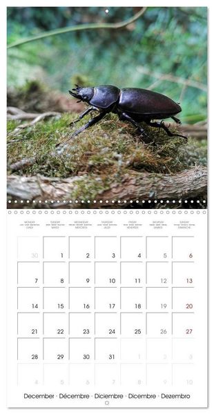 Produktbild: Blt, S: Esp&egrave;ces de Nouvelle Aquitaine (Calendrier mural carr