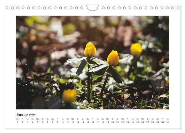 Produktbild: Mein Sehnsuchtsort, der Garten (Wandkalender 2026 DIN A4 quer), CALVENDO Monatskalender