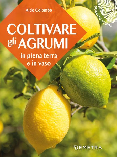 Produktbild: Coltivare gli agrumi in piena terra e in vaso