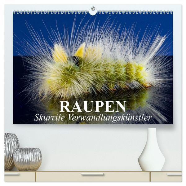 Produktbild: Raupen - Skurrile Verwandlungsk&uuml;nstler (hochwertiger Premium Wandkalender 2026 DIN A2 quer), Kunstdruck in Hochglanz
