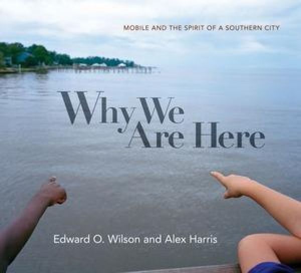 Produktbild: Why We Are Here: Mobile and the Spirit of a Southern City