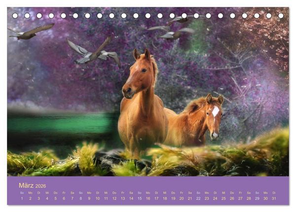 Produktbild: Von der Magie der Pferde (Tischkalender 2026 DIN A5 quer), CALVENDO Monatskalender