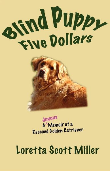 Produktbild: Blind Puppy Five Dollars