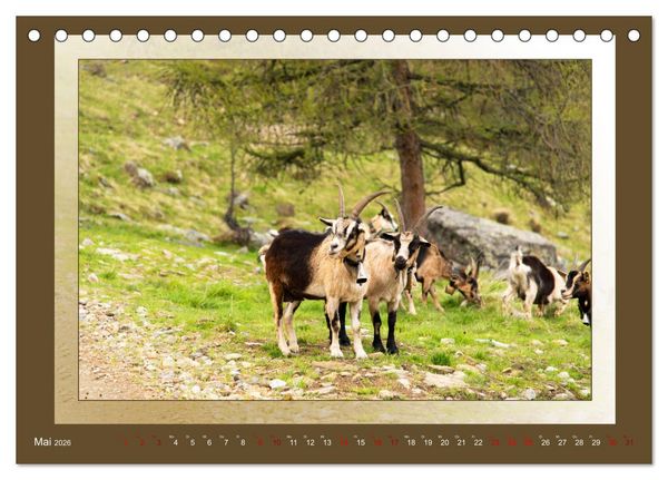 Produktbild: Das vergessene Tal. Schnalstal - Val Senales (Tischkalender 2026 DIN A5 quer), CALVENDO Monatskalender