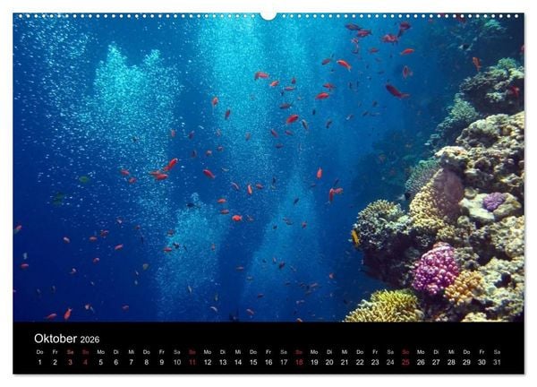 Produktbild: Riffleben - Einfach mal abtauchen (Wandkalender 2026 DIN A2 quer), CALVENDO Monatskalender