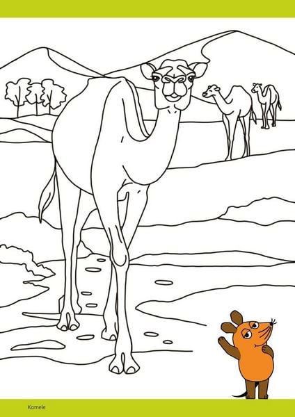Produktbild: Die Maus - Malblock mit Sachwissen Natur & Tiere