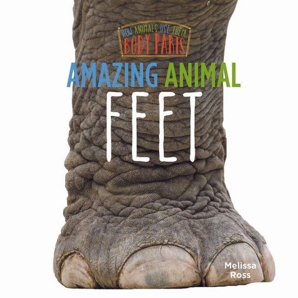 Produktbild: Amazing Animal Feet
