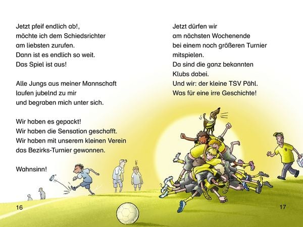 Meine Fußballgeschichten. Alle 3 Bände in einem Buch