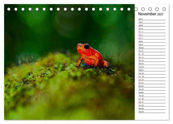 Produktbild: Feel the Wild &ndash; Costa Rica (Desk Calendar 2027 DIN A5 landscape), CALVENDO 12 Month DeskCalendar