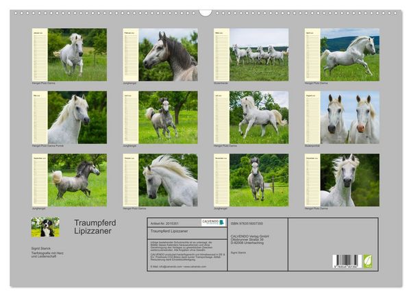 Produktbild: Traumpferd Lipizzaner (Wandkalender 2026 DIN A2 quer), CALVENDO Monatskalender