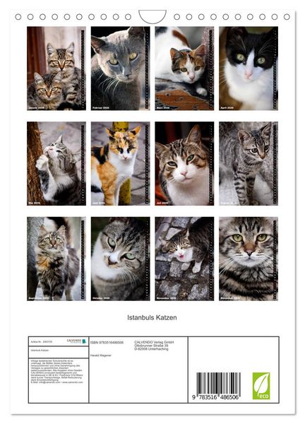 Produktbild: Istanbuls Katzen (Wandkalender 2026 DIN A4 hoch), CALVENDO Monatskalender