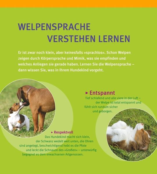 Produktbild: Welpen-Erziehung