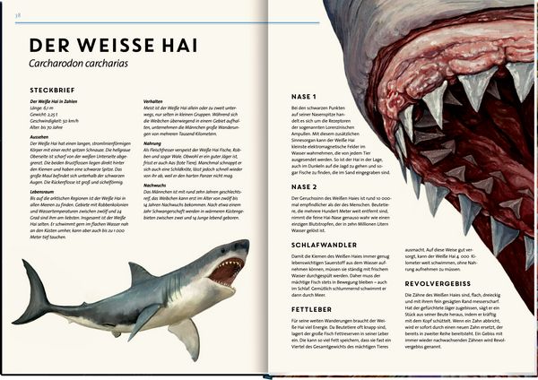 Produktbild: Lebensgro&szlig;. Tiere der Meere und Ozeane