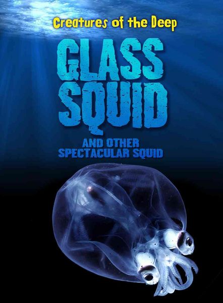 Produktbild: Glass Squid & Other Spectacula
