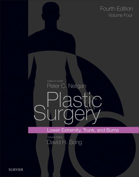 Produktbild: Plastic Surgery E-Book