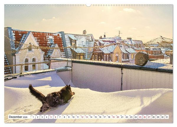 Produktbild: M&uuml;nster Miezen - &uuml;ber den D&auml;chern (Wandkalender 2026 DIN A2 quer), CALVENDO Monatskalender