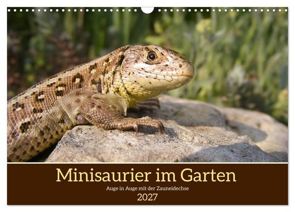 Produktbild: Minisaurier im Garten (Wandkalender 2027 DIN A3 quer), CALVENDO Monatskalender