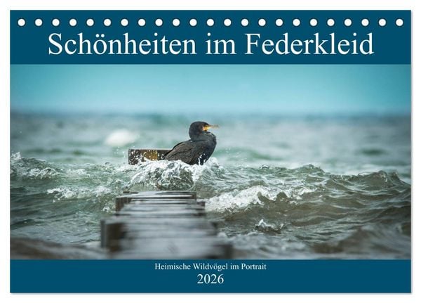 Produktbild: Sch&ouml;nheiten im Federkleid - Heimische Wildv&ouml;gel im Portrait (Tischkalender 2026 DIN A5 quer), CALVENDO Monatskalender