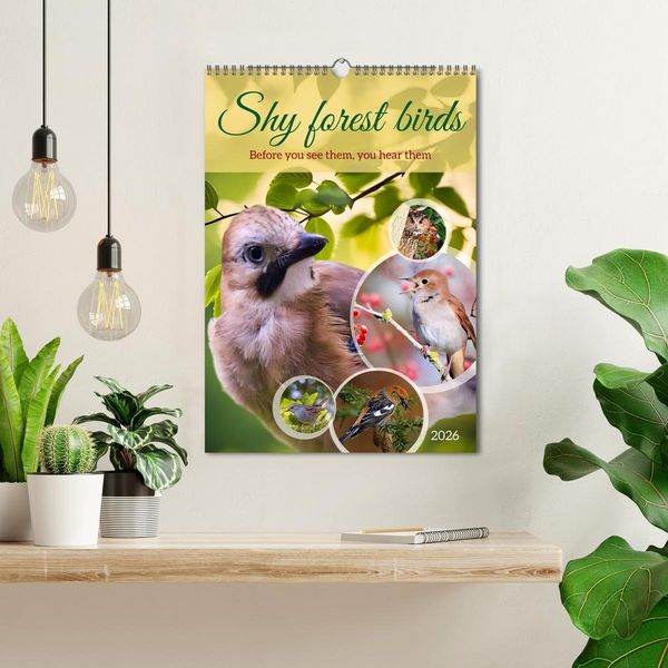 Produktbild: Shy forest birds (Wall Calendar 2026 DIN A3 portrait), CALVENDO 12 Month Wall Calendar