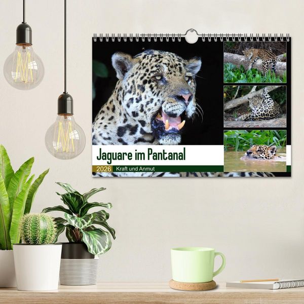 Produktbild: Jaguare im Pantanal (Wandkalender 2026 DIN A4 quer), CALVENDO Monatskalender