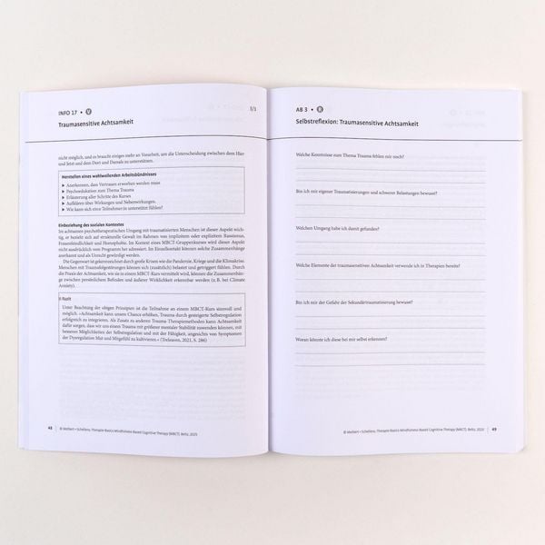 Produktbild: Therapie-Basics Mindfulness-Based Cognitive Therapy (MBCT)