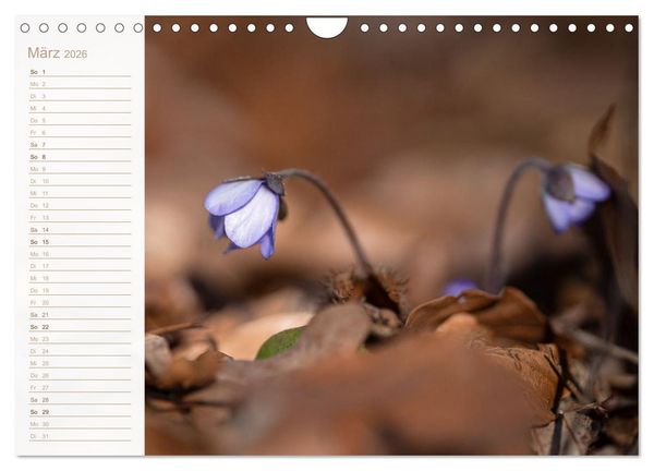 Produktbild: Wenn im Fr&uuml;hling die Natur wieder erwacht (Wandkalender 2026 DIN A4 quer), CALVENDO Monatskalender