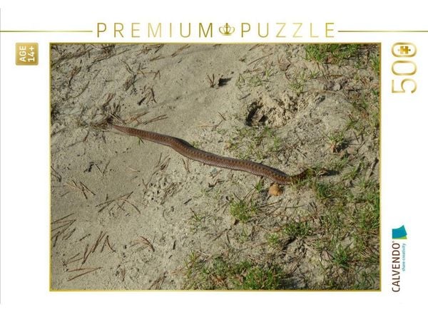 CALVENDO Puzzle Kreuzotter | 500 Teile Lege-Größe 48 × 36 cm Foto-Puzzle für Erwachsene