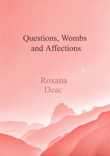 Produktbild: Questions, Wombs and Affections