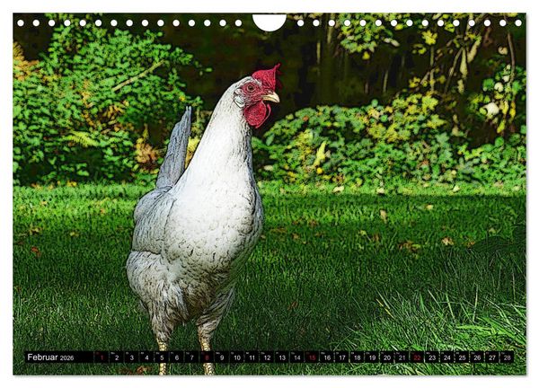 Produktbild: Die H&uuml;hner sind los! (Wandkalender 2026 DIN A4 quer), CALVENDO Monatskalender