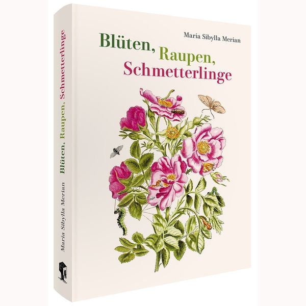Produktbild: Maria Sibylla Merian &ndash; Bl&uuml;ten, Raupen, Schmetterlinge (Jubil&auml;umsausgabe)