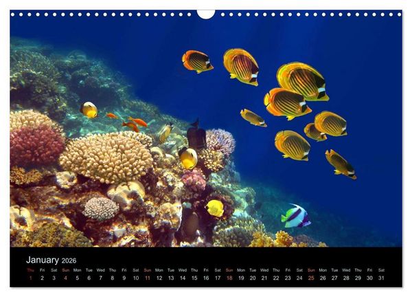 Produktbild: Water Dreams-journey through the sea (Wall Calendar 2026 DIN A3 landscape), CALVENDO 12 Month Wall Calendar
