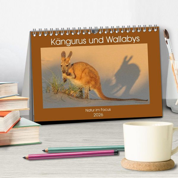 Produktbild: K&auml;ngururs und Wallabys (Tischkalender 2026 DIN A5 quer), CALVENDO Monatskalender