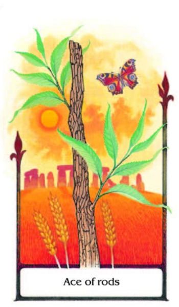 Produktbild: Tarot of the Old Path - 78 Cards and Booklet (English Edition - GB)