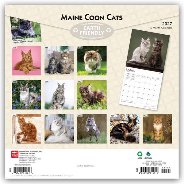 Produktbild: Maine Coon Cats &ndash; Maine Coon Katzen 2027 &ndash; 16-Monatskalender