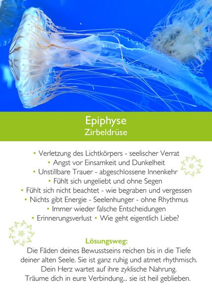 Produktbild: Ahnenmedizin und Seelenhom&ouml;opathie - Kartenset Mikrokosmos
