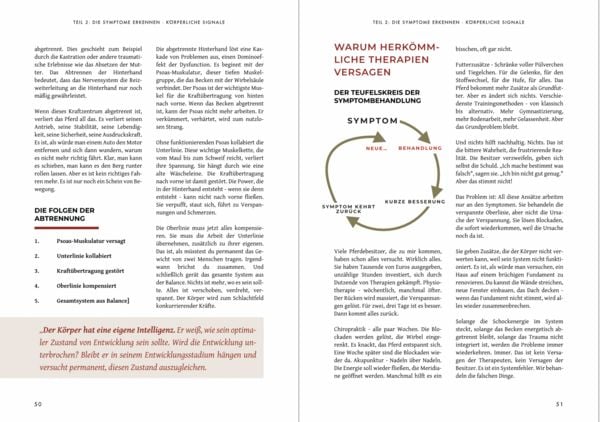 Produktbild: KastrationsTrauma - Wenn der K&ouml;rper nicht mehr zur&uuml;ckfindet
