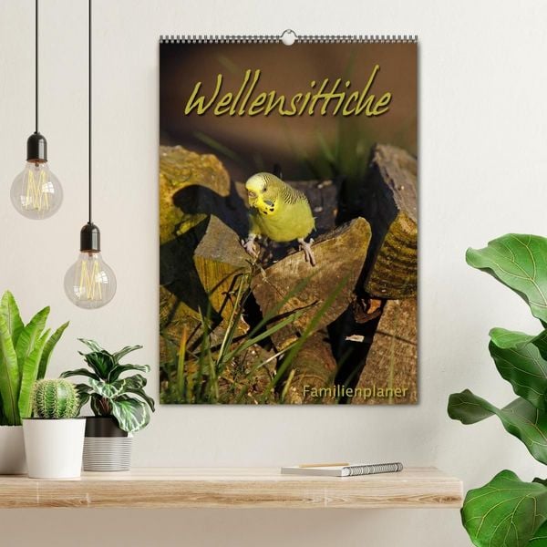 Produktbild: Wellensittiche (Wandkalender 2027 DIN A2 hoch), CALVENDO Monatskalender