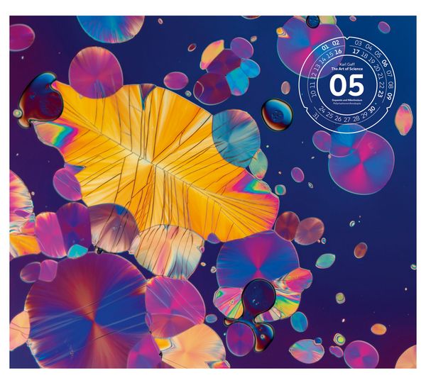 Produktbild: The Art of Science Kalender 2027 | Faszinierend-irisierende Mikroskopkunst