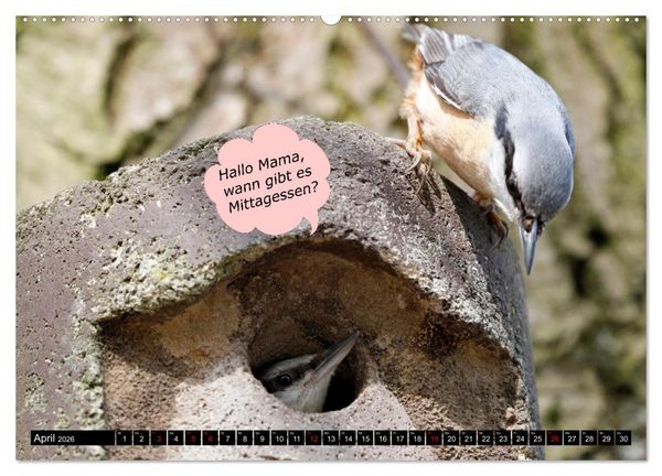 Produktbild: Wenn Tiere sprechen k&ouml;nnten! Der lustige Spr&uuml;che Kalender (Wandkalender 2026 DIN A2 quer), CALVENDO Monatskalender