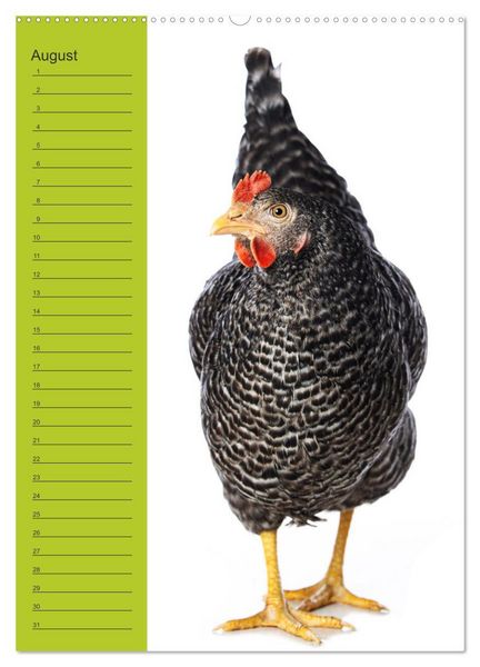 Produktbild: Kunterbunte H&uuml;hner Truppe (Wandkalender 2026 DIN A2 hoch), CALVENDO Monatskalender