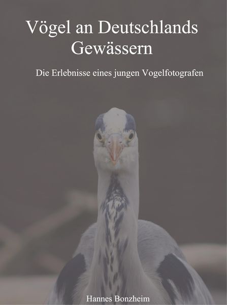 Produktbild: V&ouml;gel an Deutschlands Gew&auml;ssern