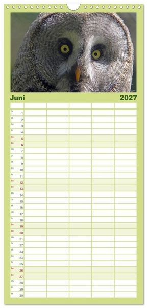 Produktbild: Familienplaner 2027 - Eulen mit 5 Spalten (Wandkalender, 21 x 45 cm) CALVENDO