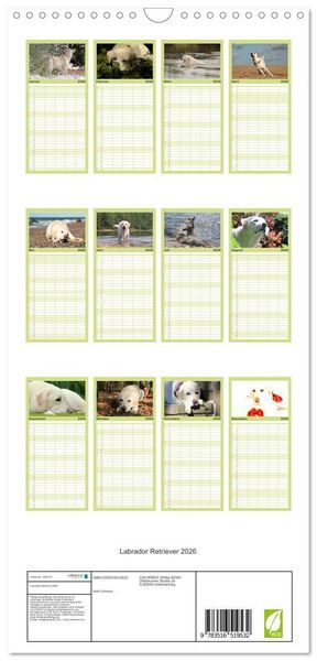 Produktbild: Familienplaner 2026 - Labrador Retriever 2026 mit 5 Spalten (Wandkalender, 21 x 45 cm) CALVENDO
